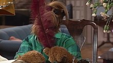 ALF - S03E18 - La poesía del amor