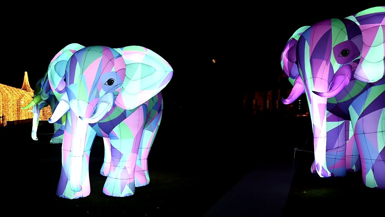 Take a walk through Electric Wonderland at Rosalind Park, open this winter school holidays.