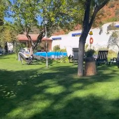 What's goin on ??#enjoy #clean #fyp #gardening #Reels #Lovely #life #love #summer #nature