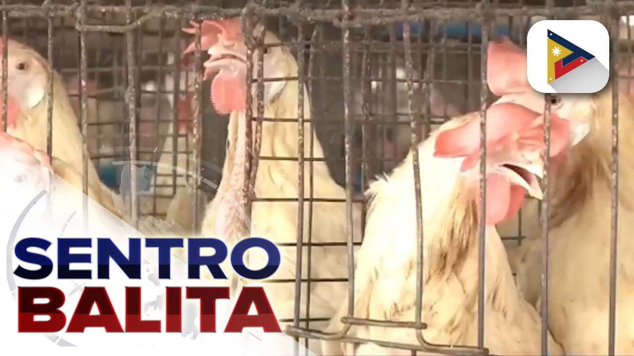 Poultry import ban sa Brazil at ilang estado ng U.S., inalis na ayon sa D.A.; pagpapataw ng MSRP sa imported na manok, pinag-aaralan din ng ahensya