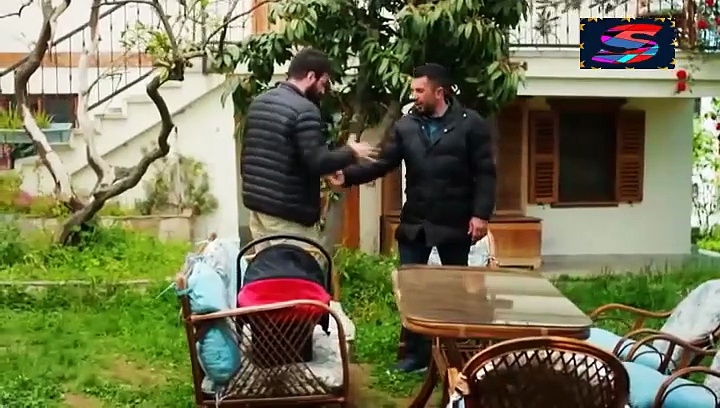 نجمة الشمال