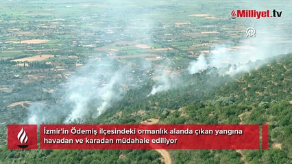 İzmir'in Ödemiş ilçesindeki orman yangınına müdahale sürüyor