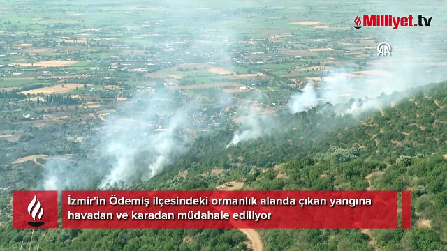 İzmir'in Ödemiş ilçesindeki orman yangınına müdahale sürüyor