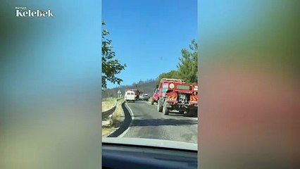 Şarkıcı Çelik, yangın bölgesinde: Arazi aracımla gerekirse su, hasta taşırım