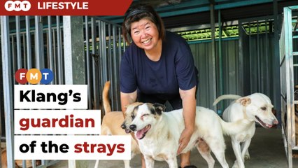 Aunty Jenny, Klang’s guardian of the strays