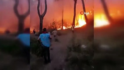 Dehşet anları kamerada: Arazözle alev kapanına giren kahraman ormancılar helallik istedi