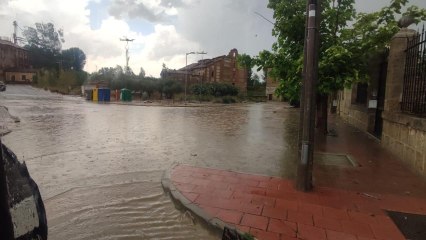 La tromba de agua con granizo que ha caído en Medina de Rioseco
