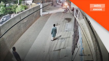 Singa peliharaan terlepas, serang wanita dan dua kanak-kanak