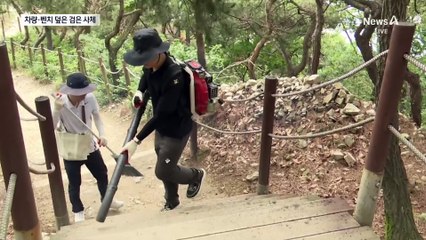 러브버그 사체도 ‘골치’…“악취에 차량도 부식”