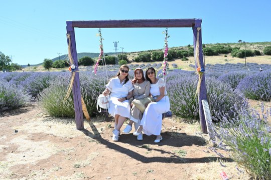 Lavanta kokulu köy bu yıl boş kaldı: Lavanta festivali iptal oldu