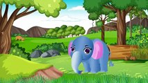 Animals video kids cartoon characters