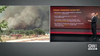 Orman yangınlarının %89’u insan kaynaklı: CEZALAR NE KADAR?