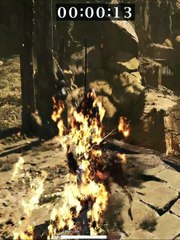 Boss Chapter 2 tiger Acolyte