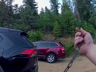 Bär sperrt sich in Auto ein - Polizist muss helfen