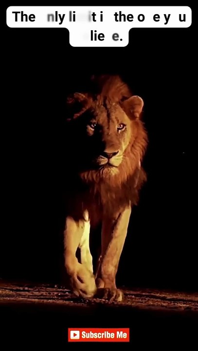 Stay Disciplined ♠ #motivation #mindset #quotes #hardwork #discipline  #shorts