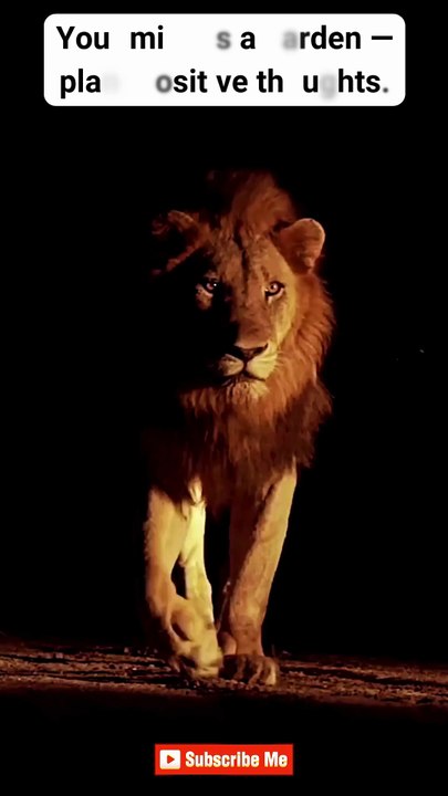 Stay Disciplined ♠ #motivation #mindset #quotes #hardwork #discipline  #shorts