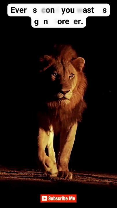 Stay Disciplined ♠ #motivation #mindset #quotes #hardwork #discipline  #shorts