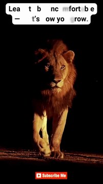 Stay Disciplined ♠ #motivation #mindset #quotes #hardwork #discipline #shorts