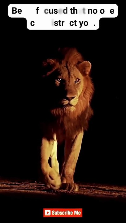 Stay Disciplined ♠ #motivation #mindset #quotes #hardwork #discipline  #shorts