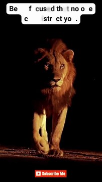 Stay Disciplined ♠ #motivation #mindset #quotes #hardwork #discipline #shorts