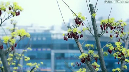 [ENG] EP.9 Sweetheart Service (2025)