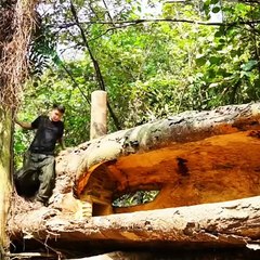 Making HOME IN FOREST