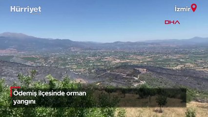 Ödemiş'teki orman yangını 3'üncü gününde