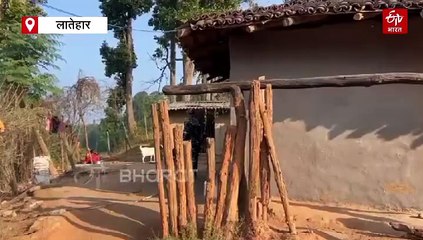 लातेहार में सुधरेगा आदिम जनजातियों का जीवन स्तर, पायलट प्रोजेक्ट के तौर पर आरंभ किया गया सर्वे