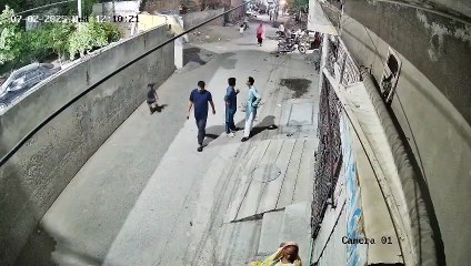 Leão em Paquistão: Uma Presença Majestosa 🦁