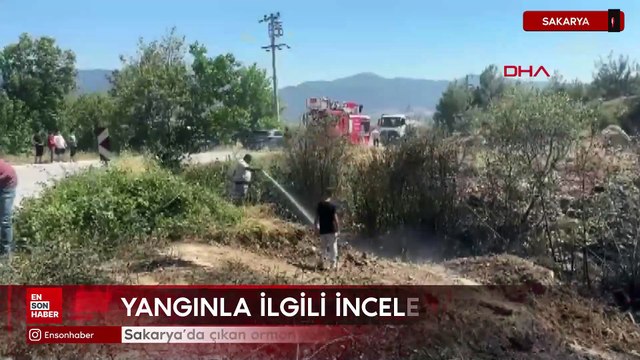 Sakarya’da çıkan orman yangını büyümeden kontrol altına alındı