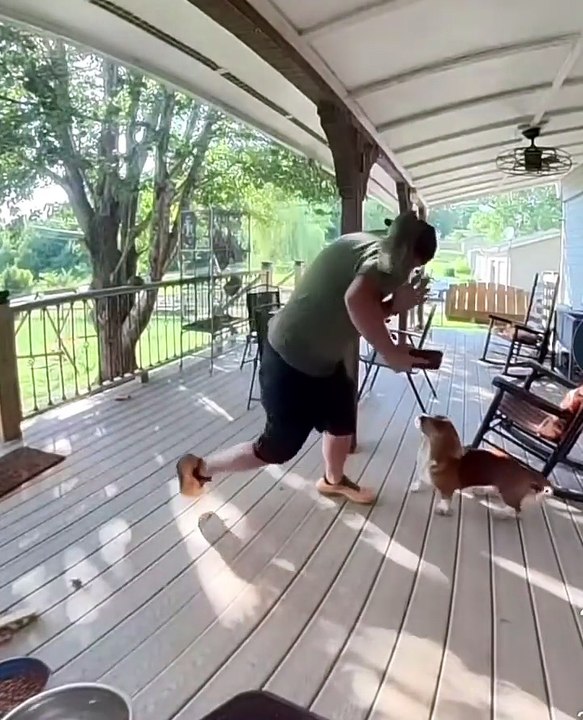 Man gets attacked by squirrel