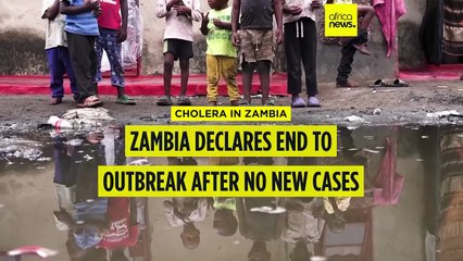 Zambia ends cholera outbreak after weeks without new infections