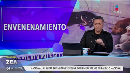 Investigan el envenenamiento masivo de perros en Salinas de Hidalgo, San Luis Potosí