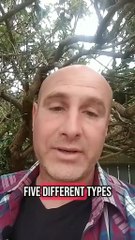 6 Powerful CTA's That Can Be Used With Videos!