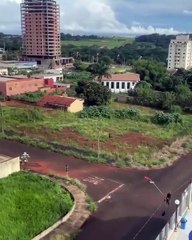 Ma sœur a trouvé un moyen de communiquer avec le cheval du voisin 😭