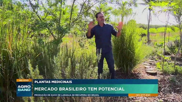 Plantas medicinais: mercado brasileiro tem potencial