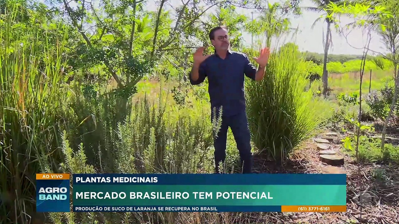 Plantas medicinais: mercado brasileiro tem potencial