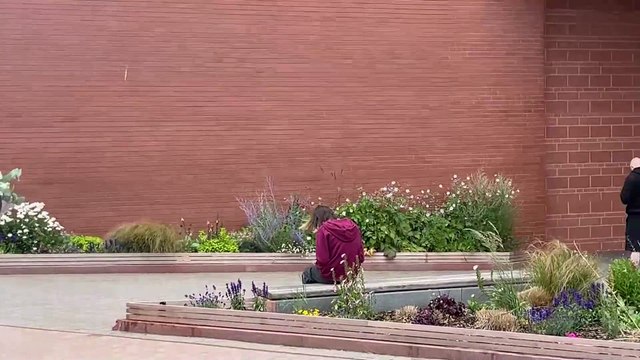 Jugadores del Everton rinden tributo a Diogo Jota en Anfield