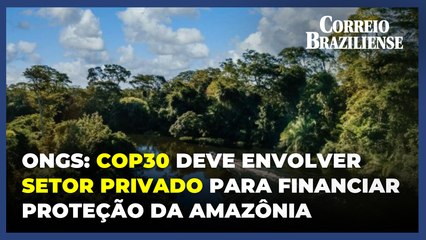 ONGs: COP30 deve envolver fundos privados para financiar proteção da Amazônia