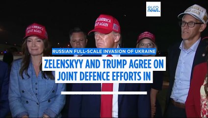 Zelenskyy and Trump agree on joint defence efforts in 'fruitful' phone call