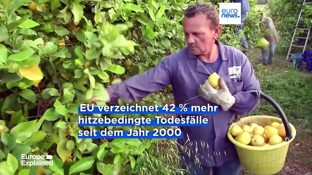 Hitzebedingte Todesfälle am Arbeitsplatz in der EU steigen um 42 %