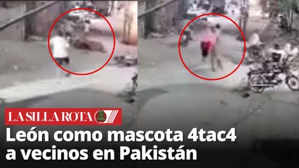 Fuga de león en Pakistán deja varias personas heridas