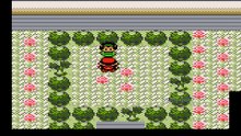 Ducumon PA - Adult GBC ROM Hack, Gender, 18+ for all trainers, Ducu Monsters, Fairy Type, ..etc...