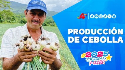 🤲🌿 INTA fortalece capacidades de productores de cebolla en Matagalpa
