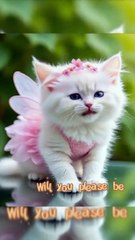 Watch What Happens When I Ask a Cat to Be My Friend!