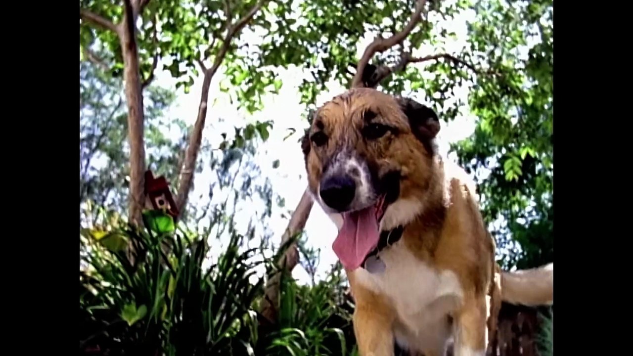 Beastie Boys: Sure Shot | movie | 1994 | Official Clip