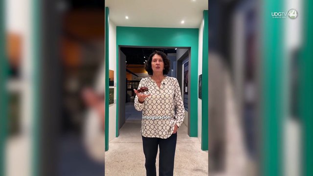 Hormigas, “superorganismos entre nosotros en el Museo de Paleontología de Guadalajara