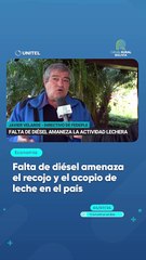Falta de diésel amenaza el recojo y el acopio de leche en el país