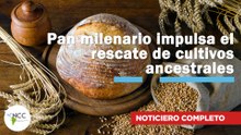 Pan milenario impulsa el rescate de cultivos ancestrales | 774 | 07 al 13 de julio de 2025