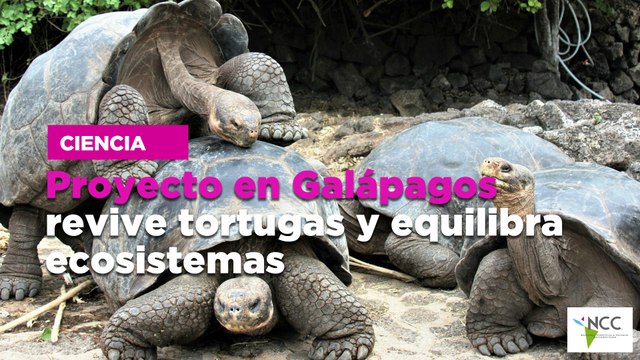 Proyecto en Galápagos revive tortugas y equilibra ecosistemas